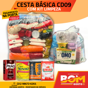 CESTA BÁSICA CD09