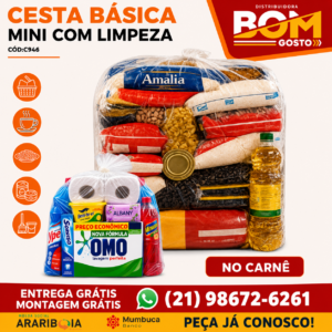 CESTA BÁSICA MINI